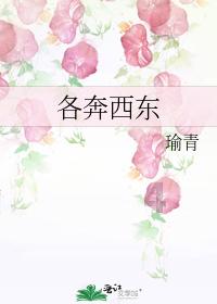 如何评价马思纯?-解密奇迹背后的原理-南方人物周刊